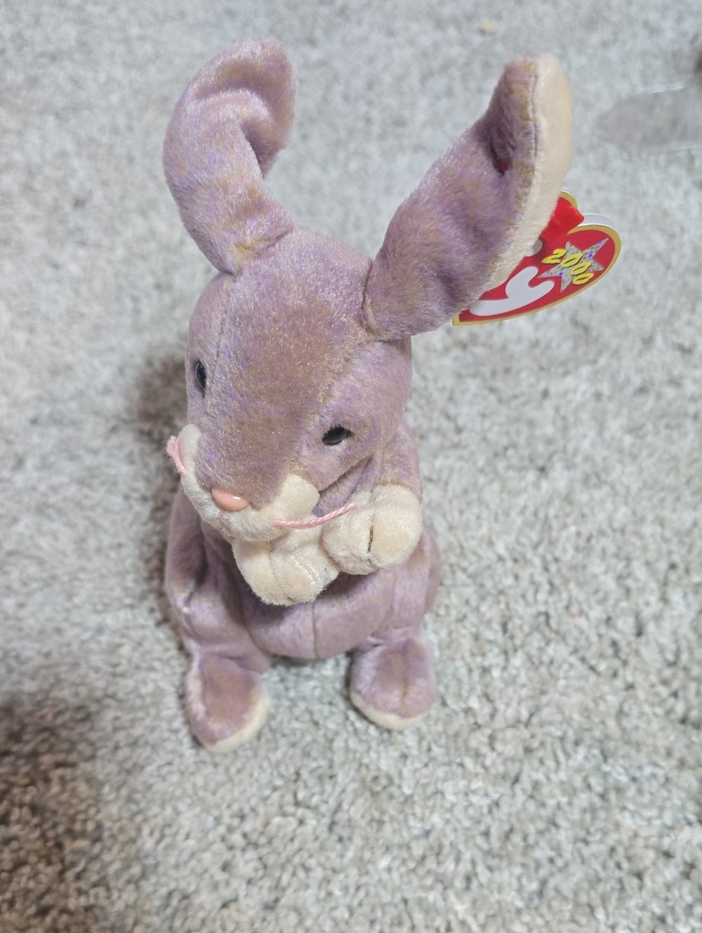 SPRINGY Ty Beanie Baby Bunny
